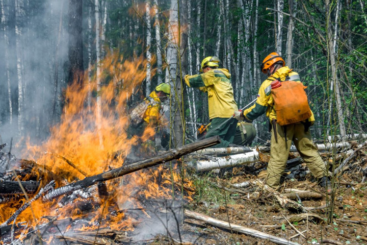 Грозы стали причиной лесных пожаров у соседей Хакасии