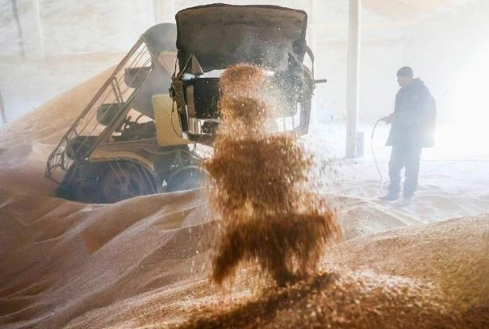 Хлеб в России дорожает, а чиновники зерно вывозят в другие страны