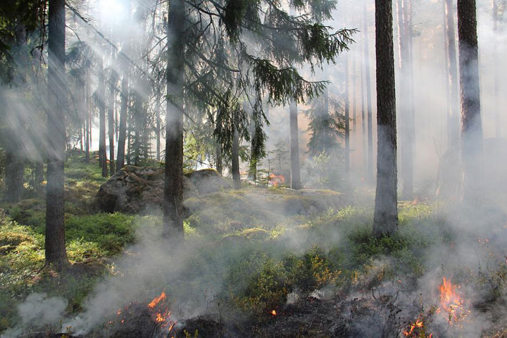 Жителей Хакасии предупредили о чрезвычайной пожарной опасности