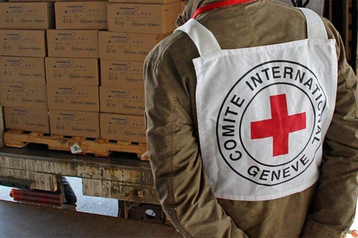 Страшные тайны в Мариуполе. Красный Крест искал детские органы