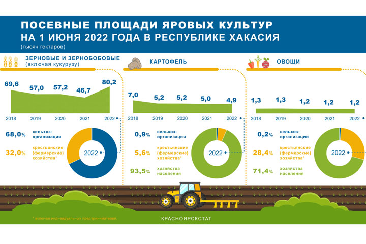 В Хакасии посевная площадь зерновых и зернобобовых культур увеличилась на 72% 