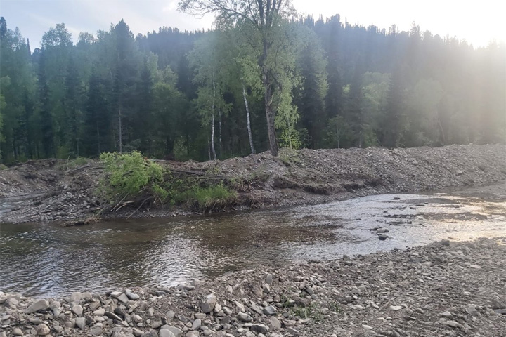 Беда: лесозаготовили в Хакасии меняют русло реки Малый Таштып