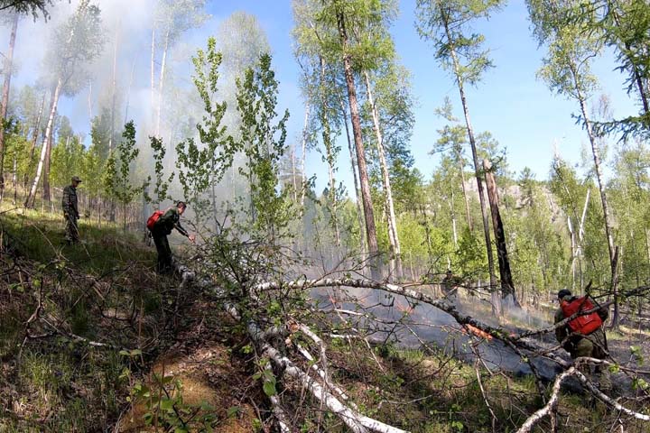 Причиной лесных пожаров в Хакасии стали сухие грозы