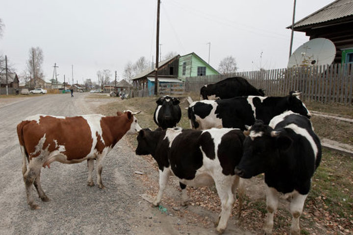 В Хакасии жителям малых сел выплатили миллионы