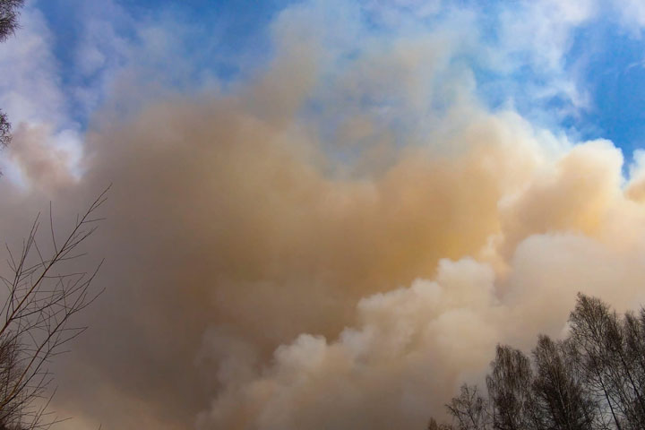 Один потушен, один локализован: сводка лесных пожаров в Хакасии