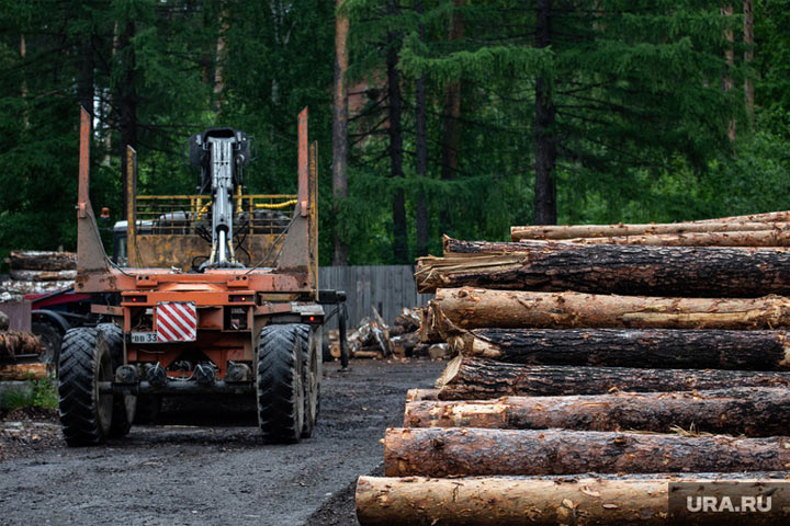 В Минпромторге назвали перспективы экспорта российского леса