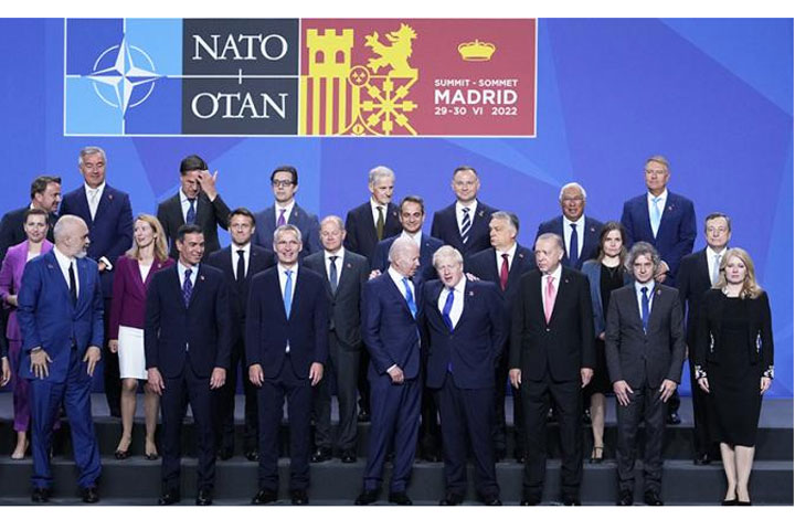 Украина вбивает клин в НАТО: все ждут эффект бумеранга от санкций