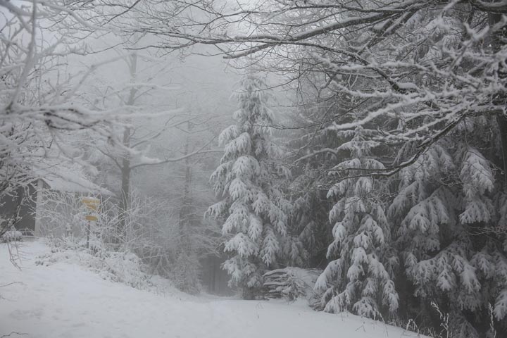 Погода в Хакасии на 24 января