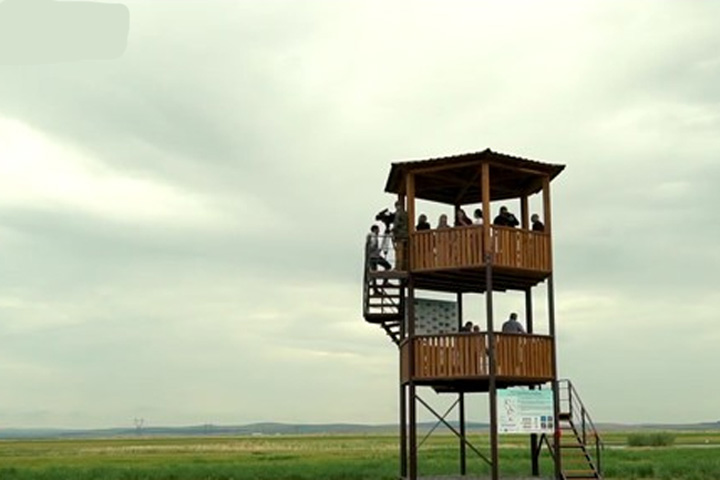 В Хакасии на территории заказника открыли пункт наблюдения за птицами