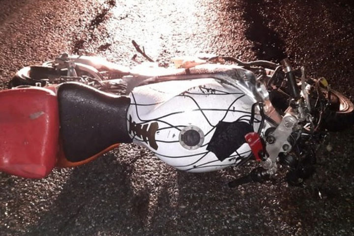 Мотоциклист погиб в ночном столкновении с коровой