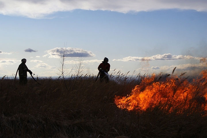 Неосторожное обращение с огнем в Хакасии привело к километровому пожару