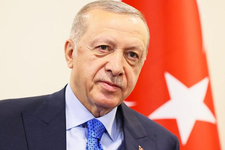 Эрдоган репетирует роль кормильца Европы