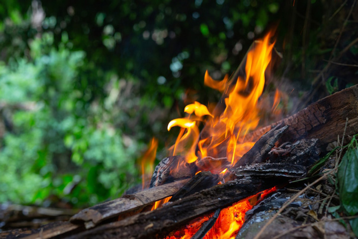 Хакасия, кажется, избежала лесных пожаров
