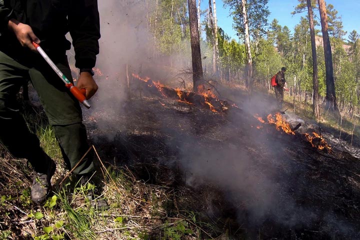 В Таштыпском районе локализован лесной пожар