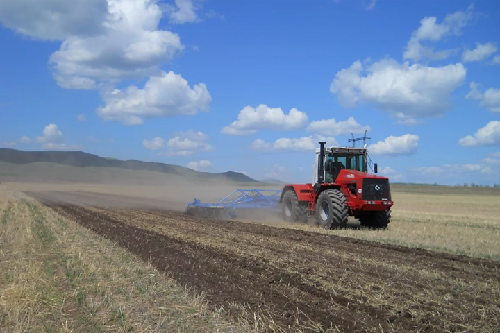 Стране нужна пшеница: в Хакасии под зерновые ушло еще больше площадей 