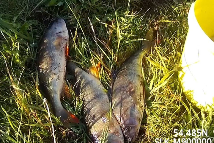 В Хакасии браконьер ловил рыбу из священного озера