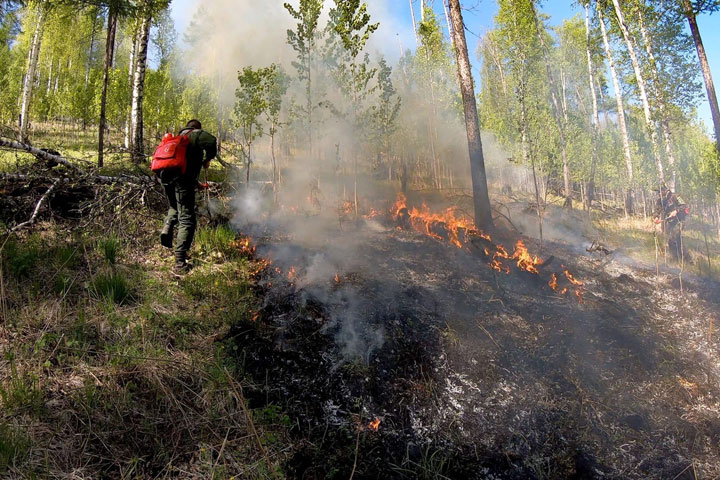 В 9 километрах от аала в Хакасии возник лесной пожар