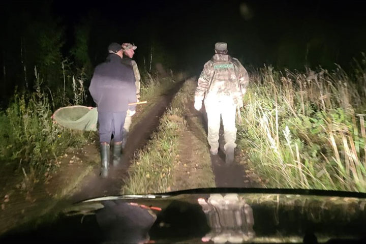Остались без барсука: браконьеров-неудачников из Абакана сдали фонарики