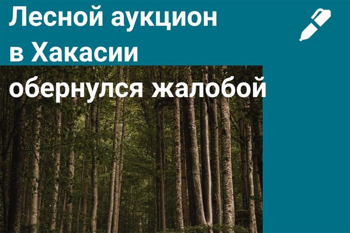 Компании из Красноярска не дали купить 11,5 гектара леса в Хакасии