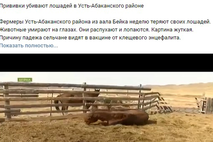 В Хакасии распространяют фейк о гибели лошадей 