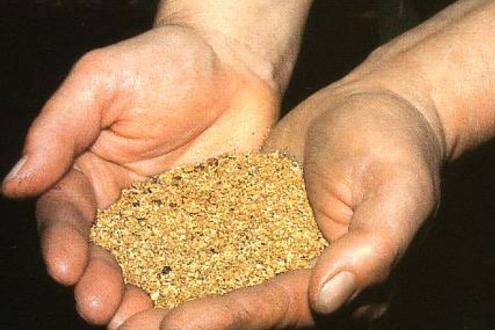 На приисках в Красноярском крае похитили 1 кг золотого песка