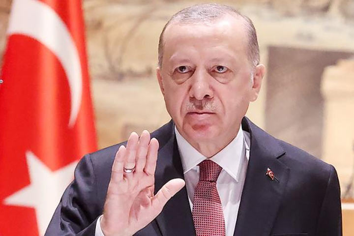 Эрдоган, играя роль миротворца, решает внутренние проблемы Турции