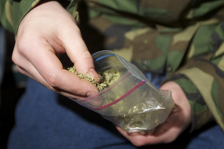Жителю Хакасии грозит до 10 лет за найденную марихуану