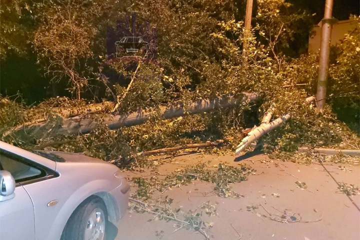 Сильный ветер в Красноярске повалил деревья и оборвал провода