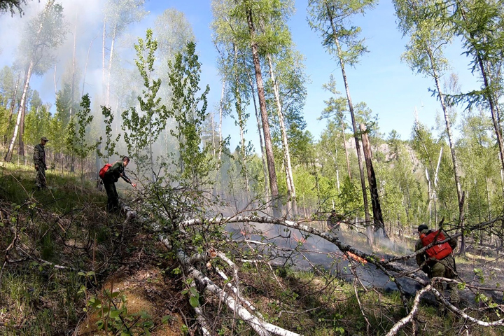 На землях лесного фонда действуют три лесных пожара