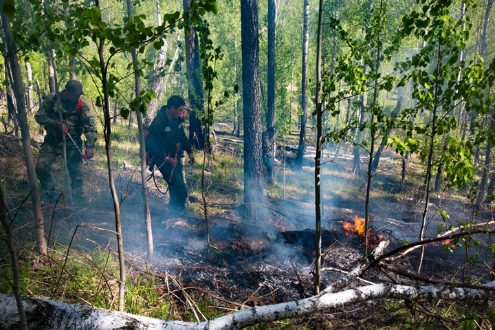 В трех лесничествах Хакасии действуют пожары 