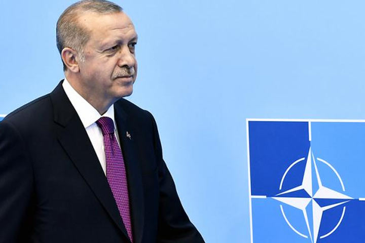 Эрдоган рвется сразиться с Путиным на поле боя
