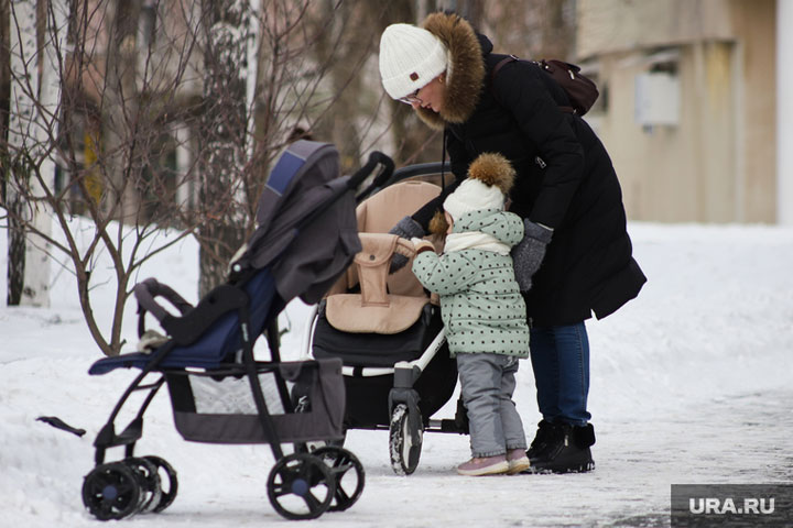 Зюганов призвал поднять выплаты российским матерям до 25 тысяч
