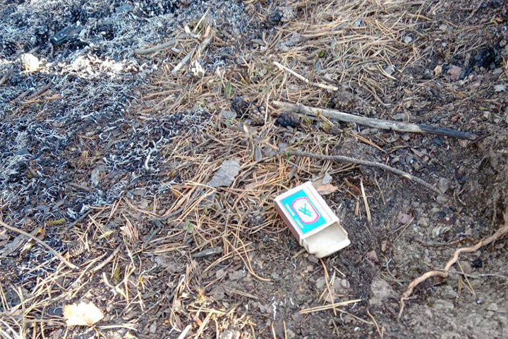 На месте лесного пожара в Хакасии нашли жженые спички