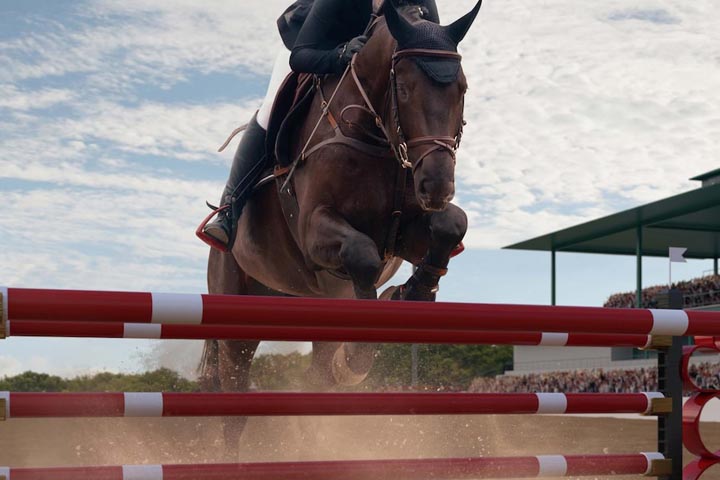 Спортсмен из Хакасии - победитель Чемпионата России на молодых лошадях