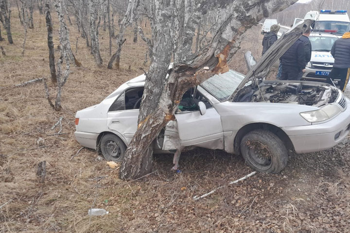 Возле Сорска Toyota улетела в кювет, 22-летняя водительница серьезно травмирована