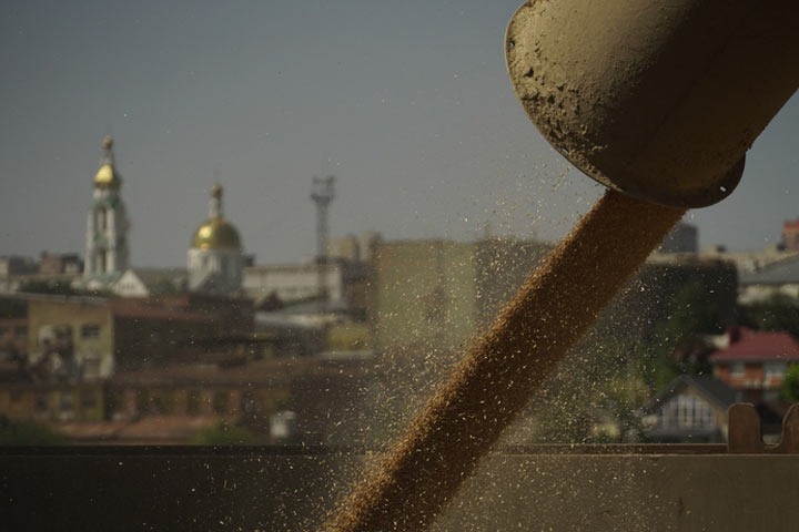 Россия получила гарантии безопасности от Украины для участия в зерновой сделке
