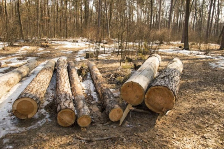 Пять человек задержаны за взяточничество