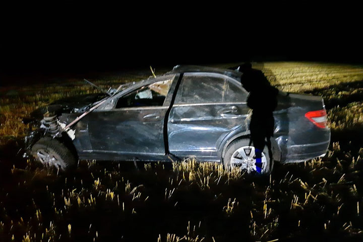 На трассе «Енисей» Mercedes-Benz врезался в табун лошадей, водитель в коме