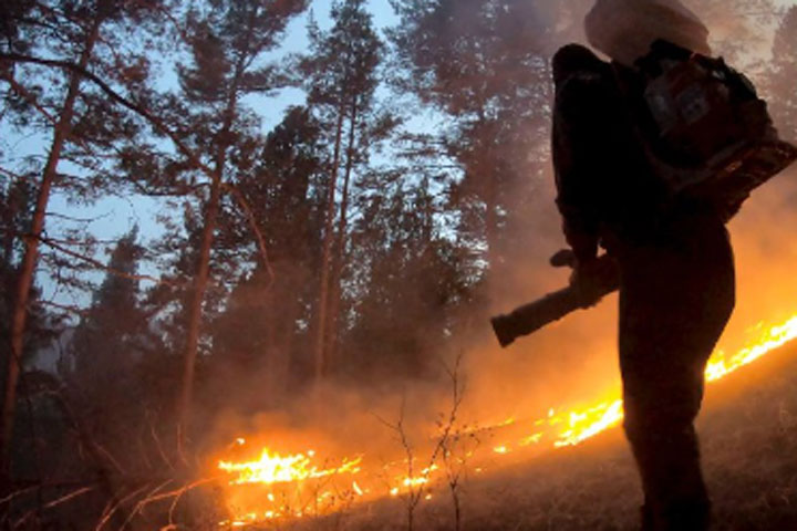 Жителя Бирикчуля наказали за пожар в лесу 