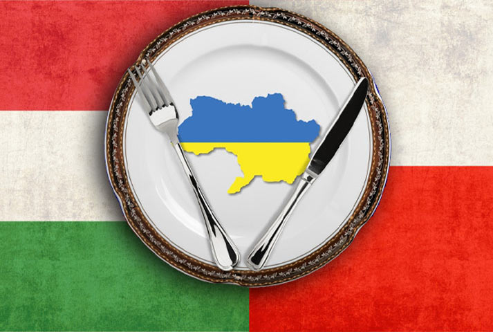 Это уже серьёзно. Венгрия и Польша начали раздел Украины