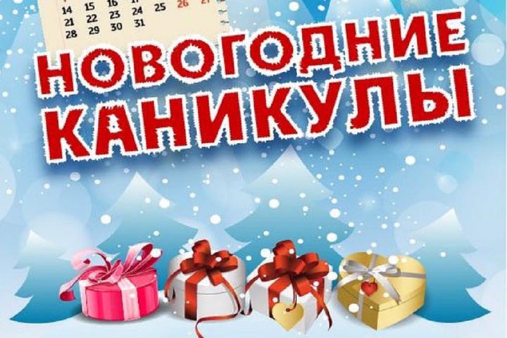 Школьникам Алтайского района на зимних каникулах будет нескучно