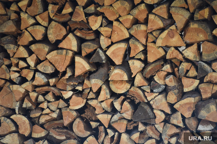 Во Франции начали выдавать дрова по талонам