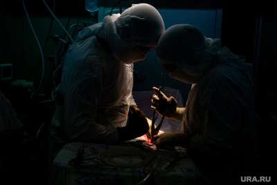 Черные трансплантологи