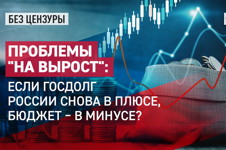 Проблемы «на вырост»: если госдолг России снова в плюсе, бюджет - в минусе?