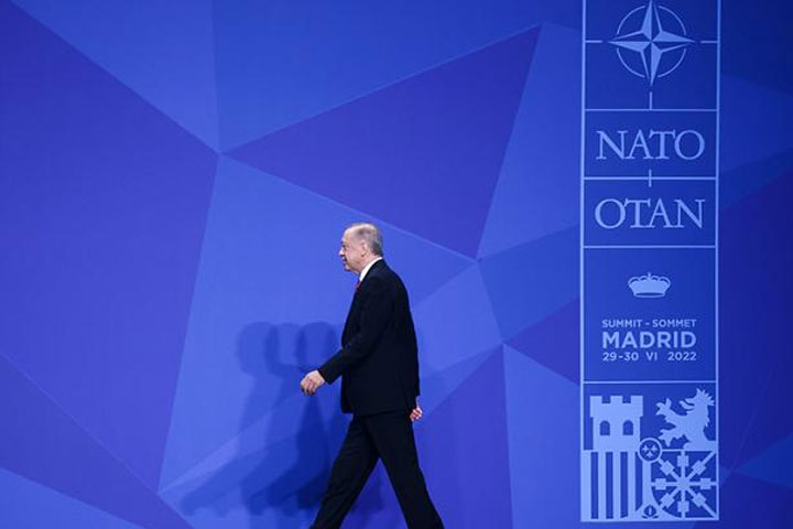Турция и НАТО: Уйти нельзя остаться