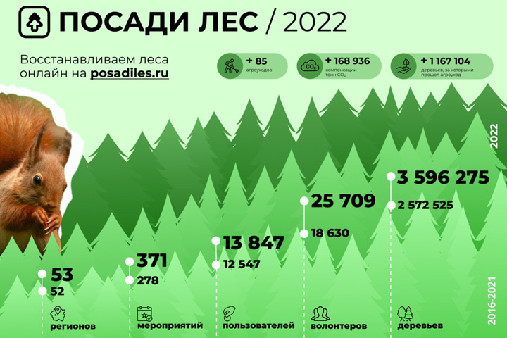 Высадкой деревьев в Хакасии заняты волонтеры