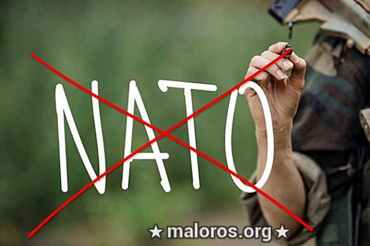 «Остановить Эрдогана»: Турция хоронит НАТО?