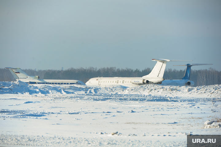 Пассажир устроил «стриптиз» на взлетно-посадочной полосе в Домодедово. Видео