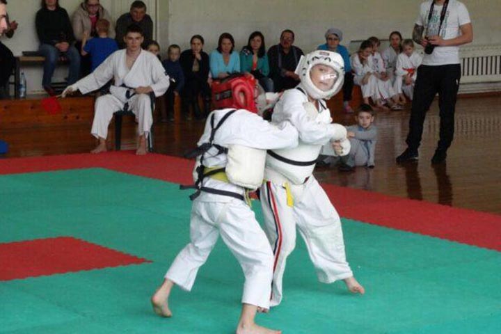 В Хакасии пройдут соревнования по всестилевому каратэ