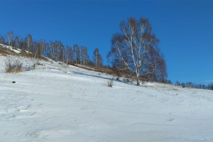 Климат Хакасии. Хакасия.